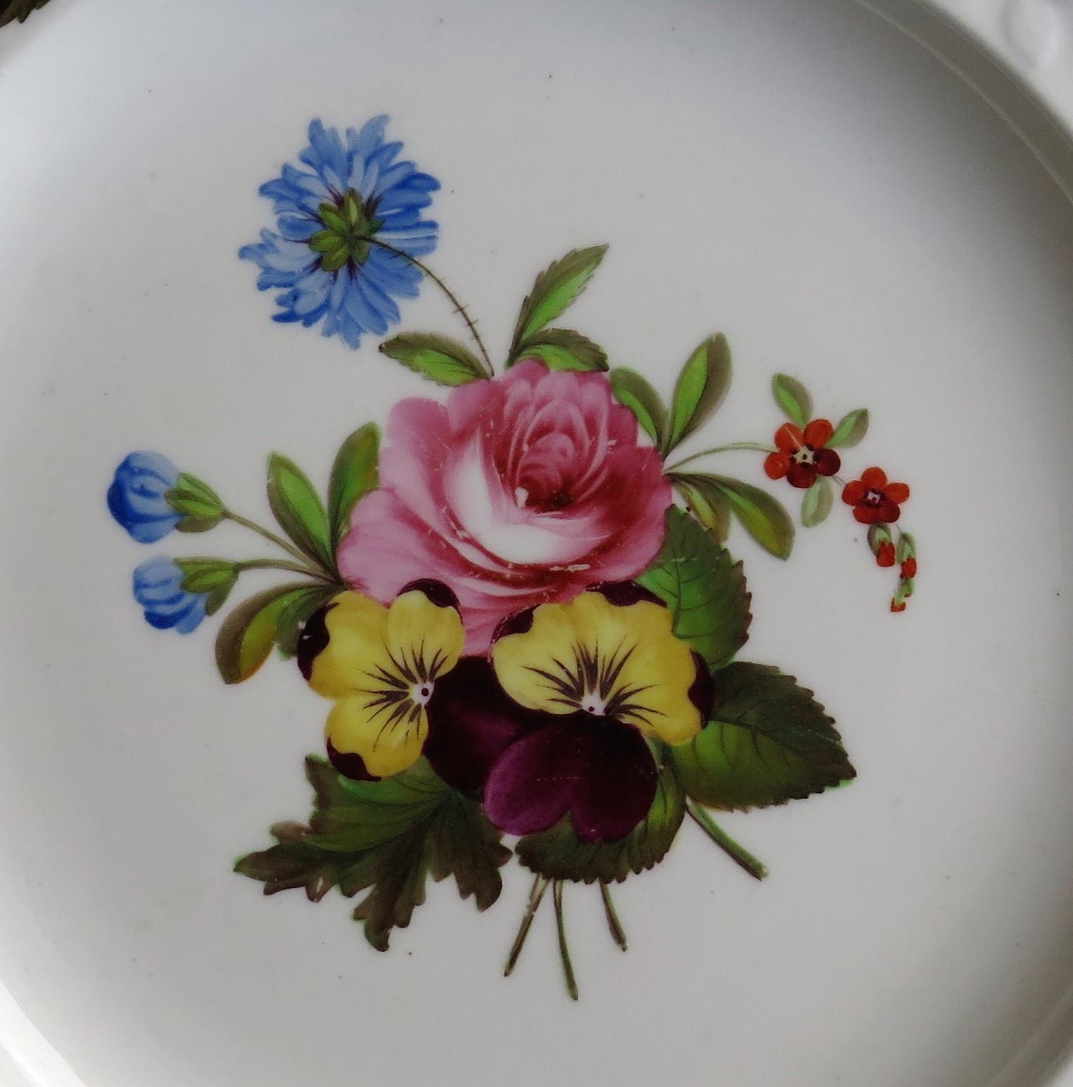 Assiette en porcelaine géorgienne de Spode peinte à la main Ptn botanique 3127, vers 1820 en vente 5