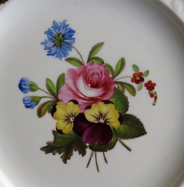 Georgian Porcelain Plate by Spode Hand Painted Botanical Ptn 3127 ...