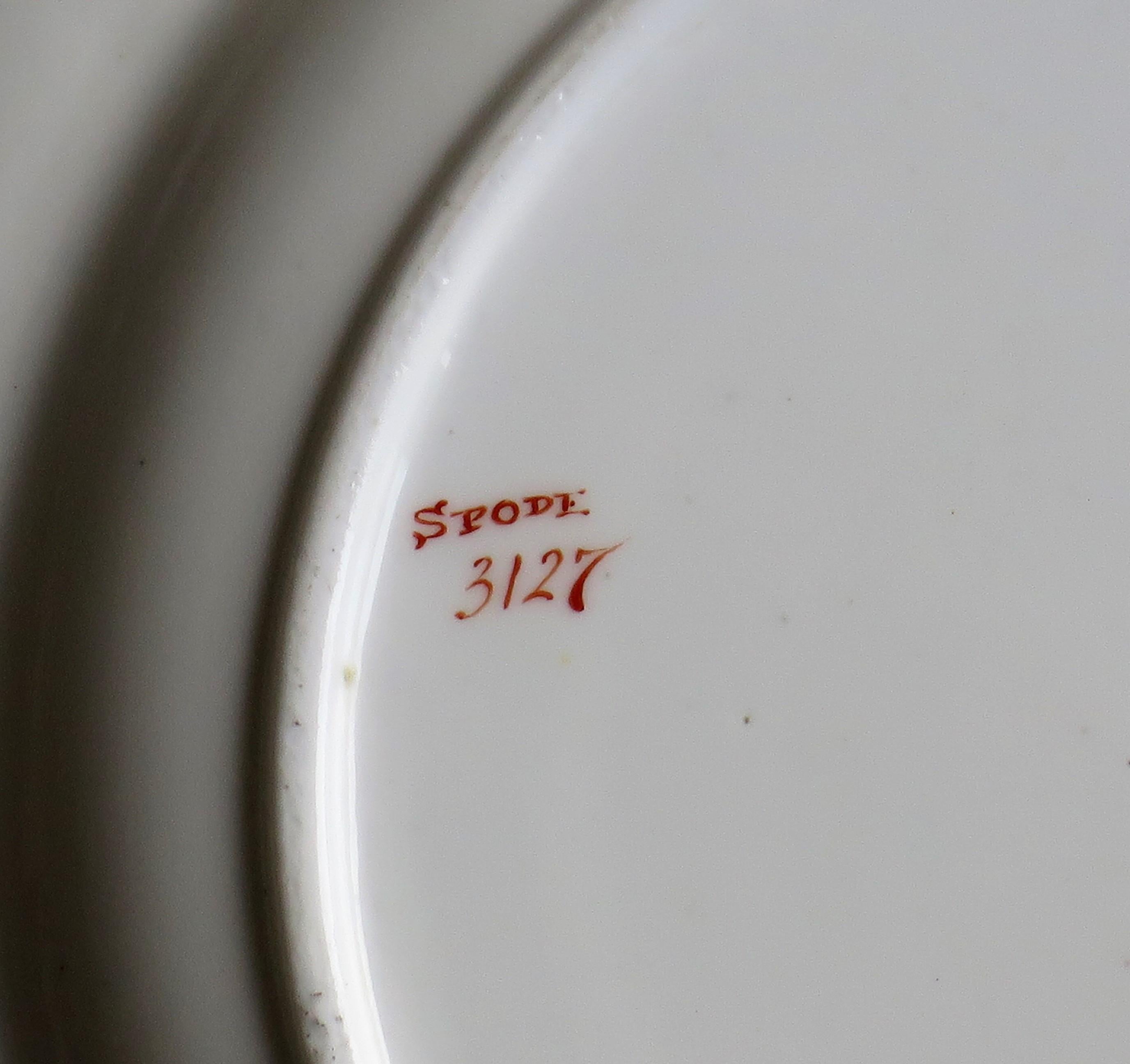 Georgian Porcelain Plate by Spode Hand Painted Botanical Ptn 3127, circa 1820 For Sale 8