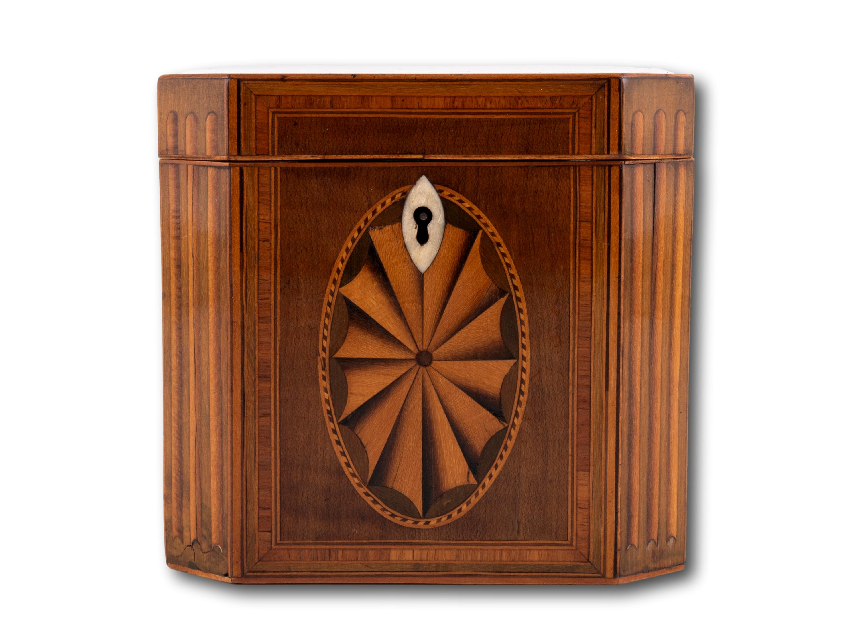Georgian Tea Caddy featuring the Prince of Wales Feathers with Canted Corners

From our Tea Caddy collection, we are delighted to offer this Georgian Prince of Wales feathers Harewood Tea Caddy. The Tea Caddy of square form with delicately inlaid