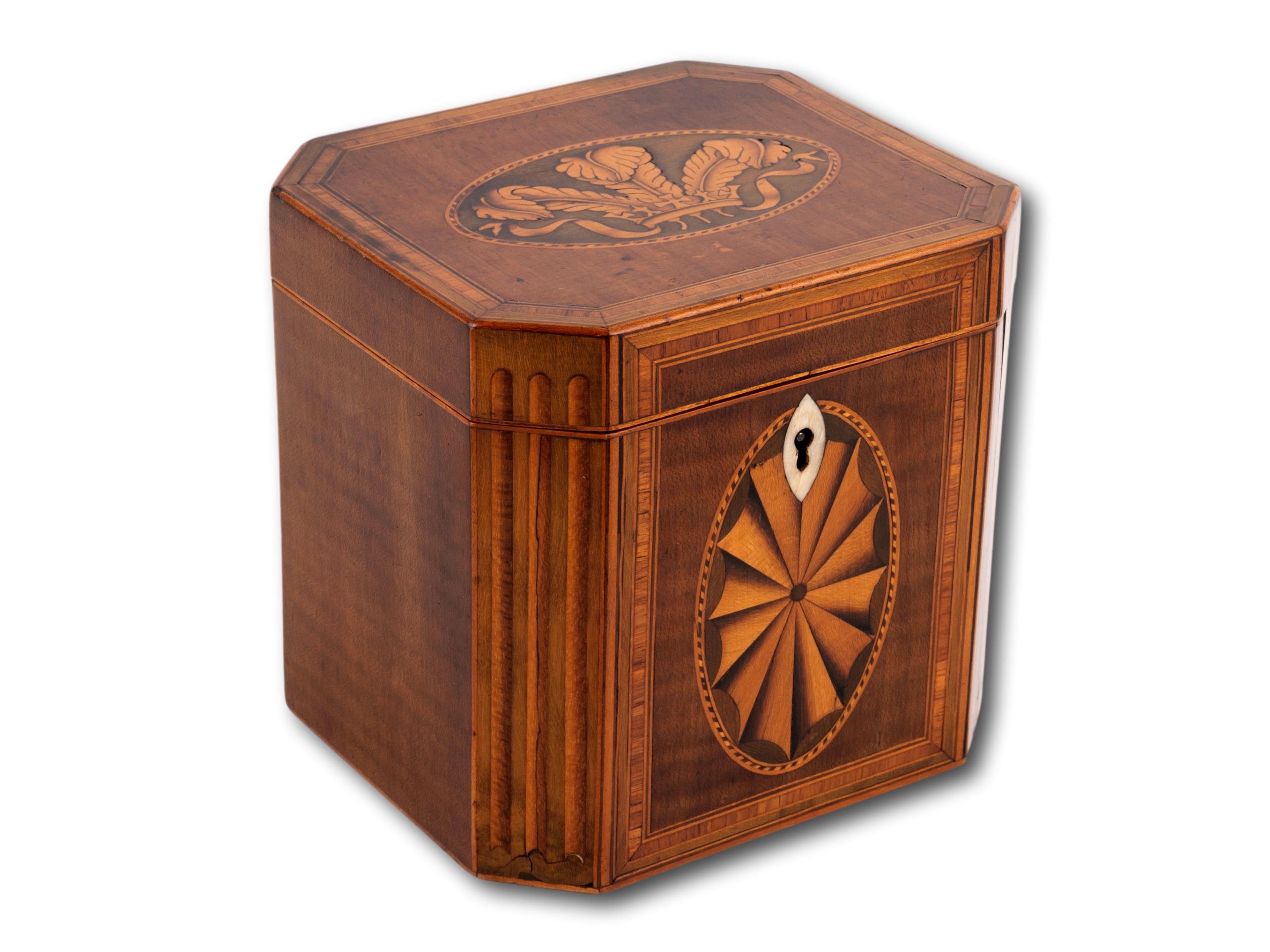 Hand-Carved Georgian Prince of Wales Feathers Harewood Tea Caddy For Sale