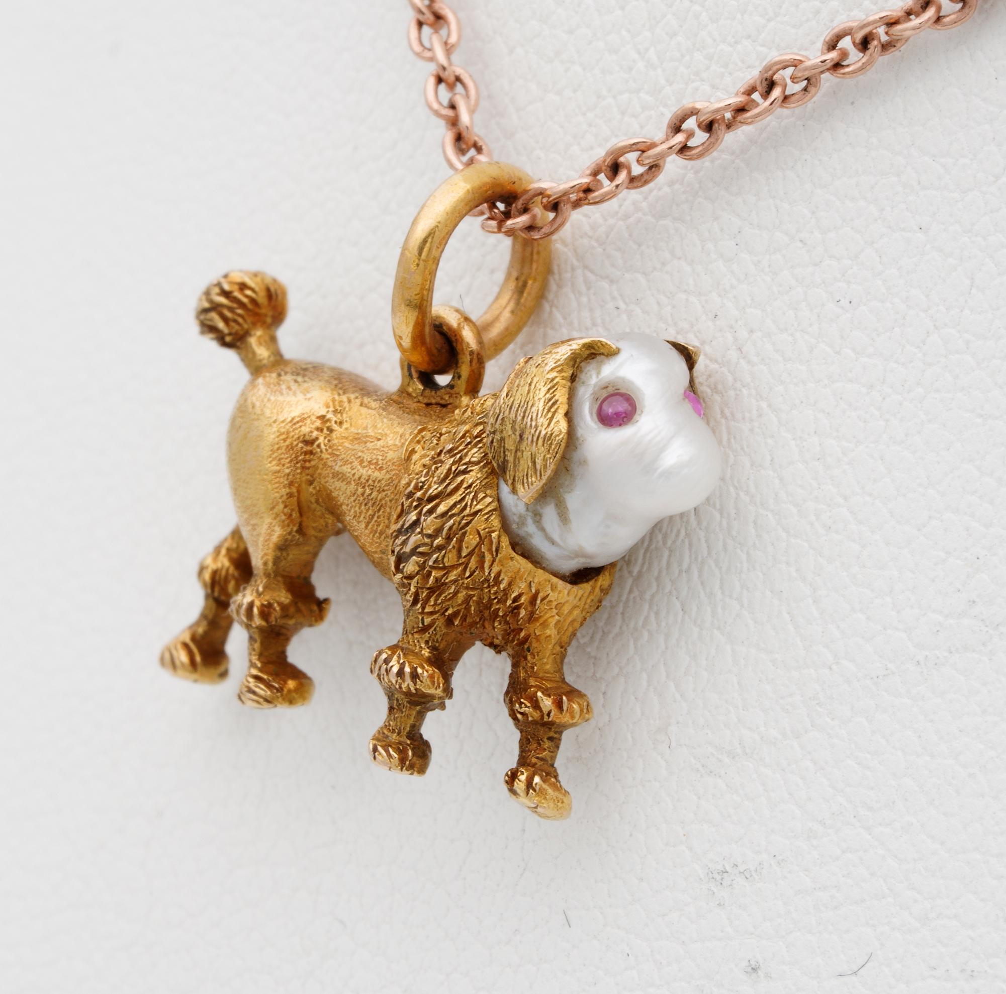 Belle Époque Georgian/Regency Little Dog Fob Pearl Ruby 18 Karat Gold For Sale