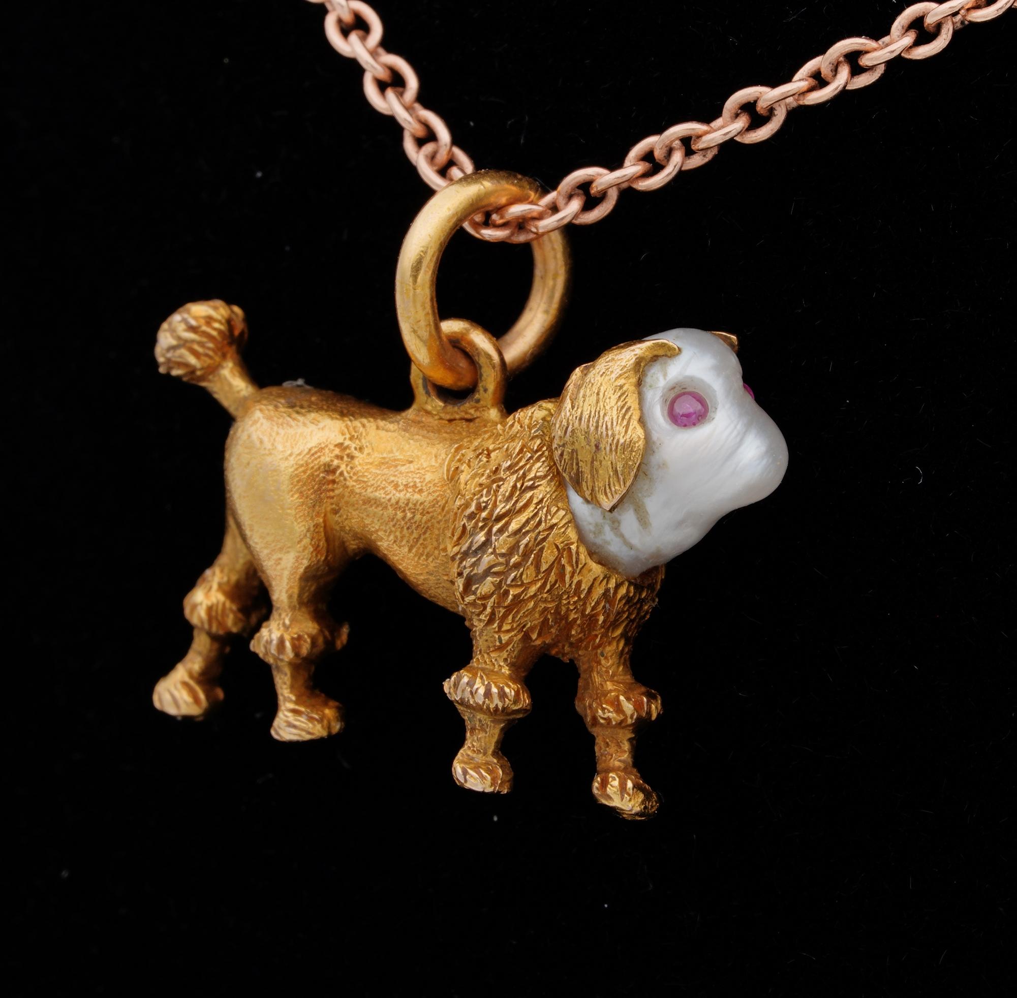 Cabochon Georgian/Regency Little Dog Fob Pearl Ruby 18 Karat Gold For Sale