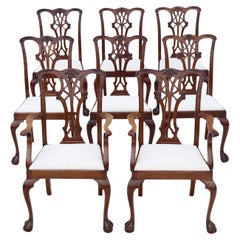 Chaises de salle à manger néo-géorgiennes : ensemble de 8 (6+2), qualité ancienne, C1910