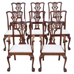 Dining Room Chairs