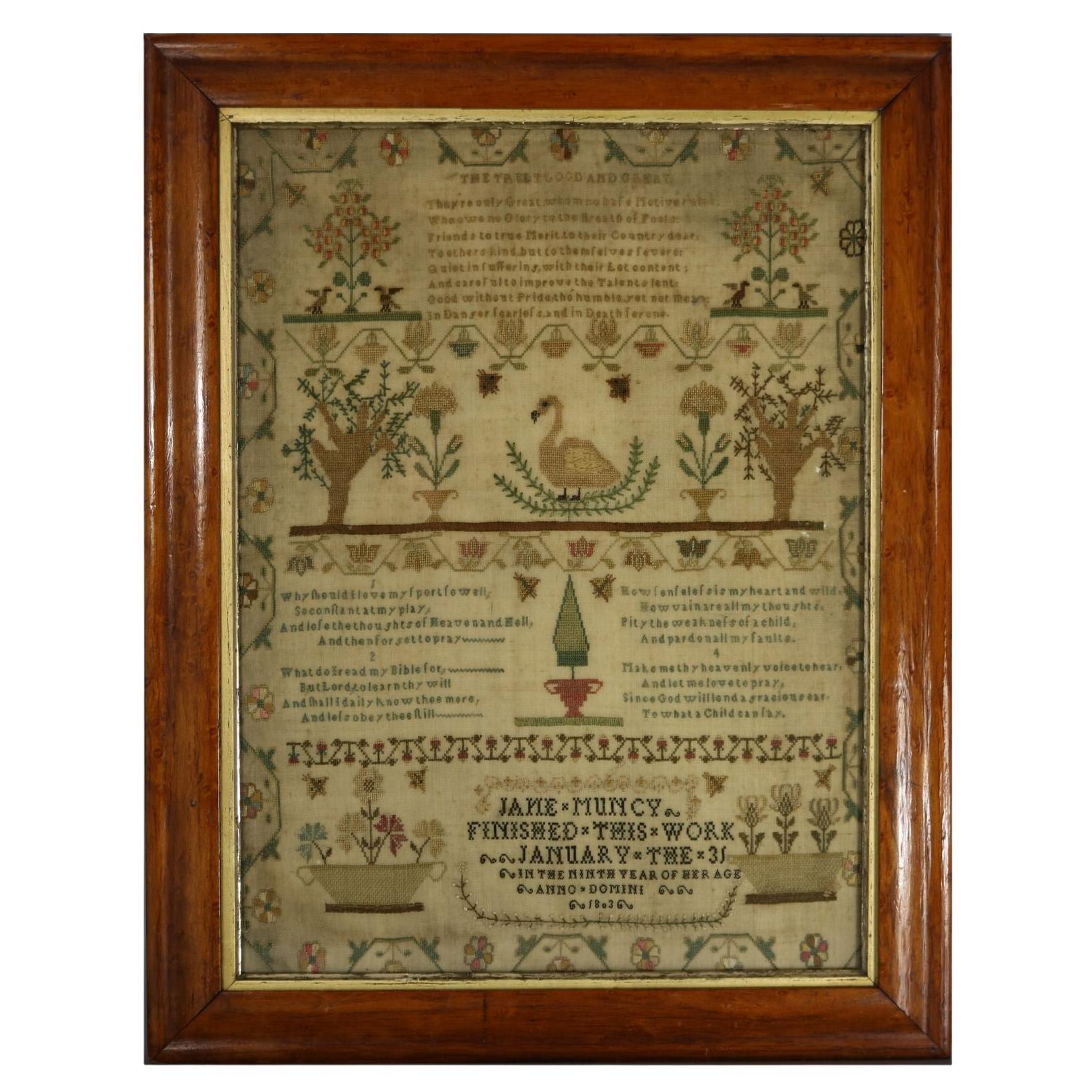 Muestrario georgiano, 1803, Jane Muncy Edad: 9 años