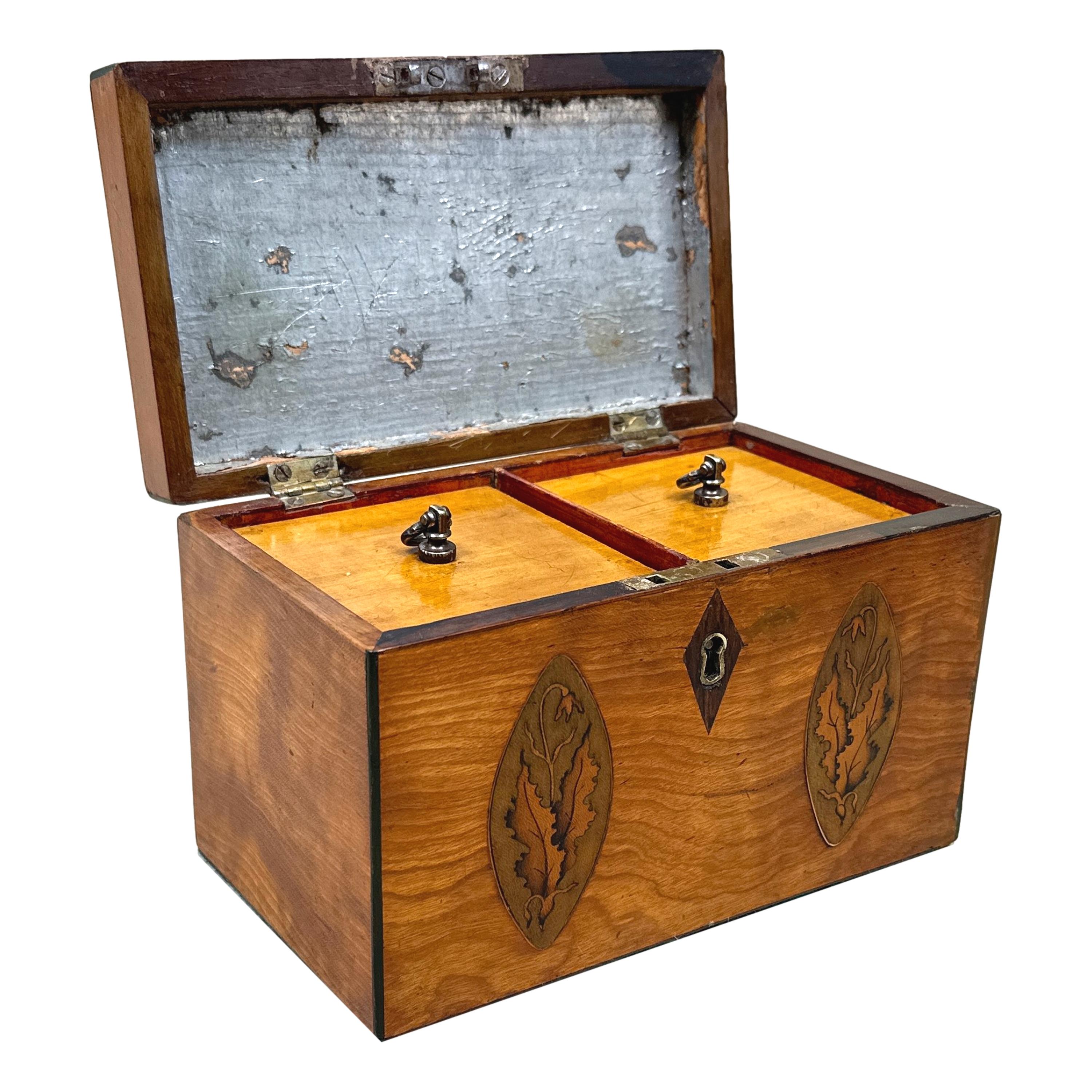 Georgian Satinwood Oblong Tea Caddy In Good Condition In Bedfordshire, GB