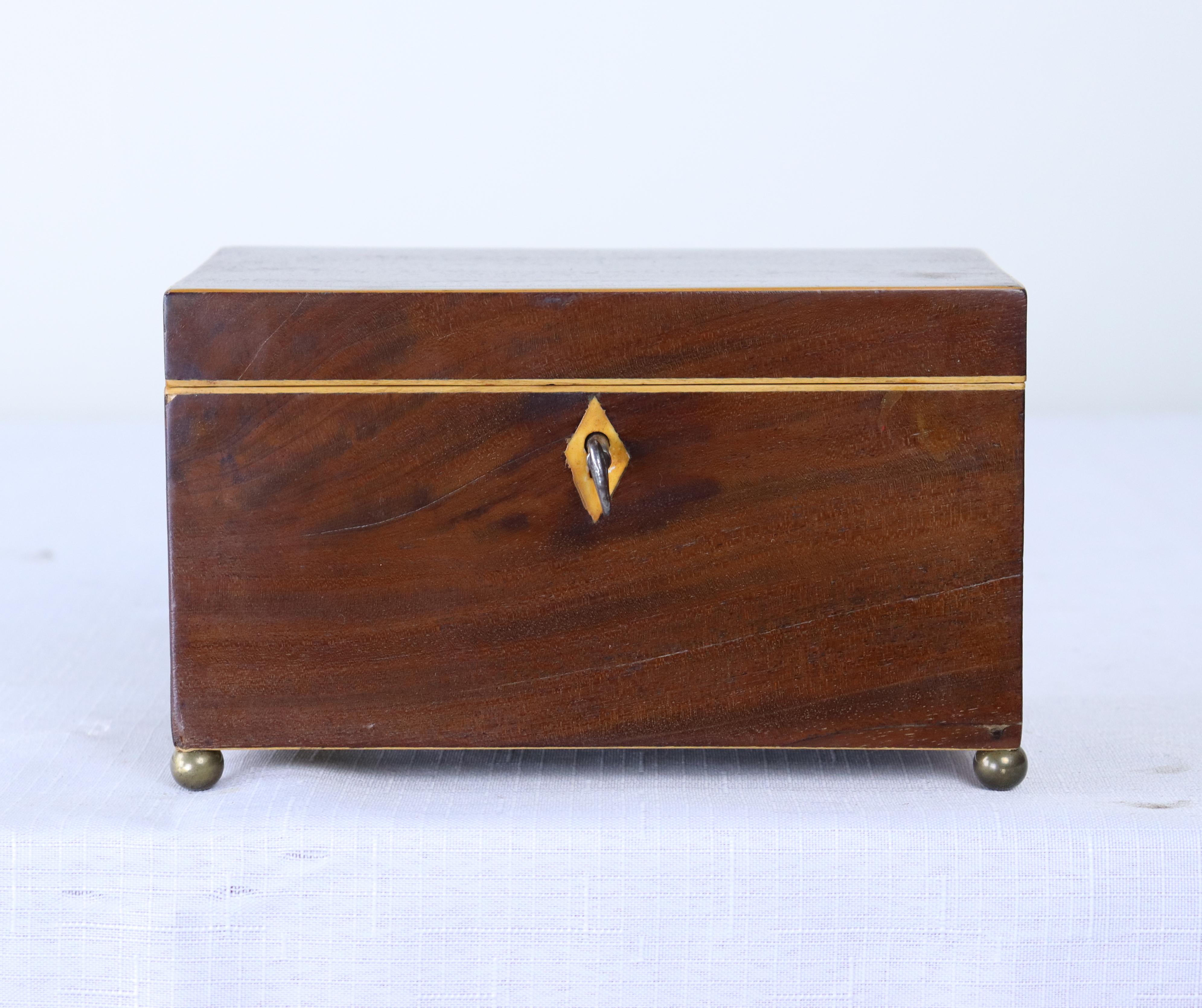 English Georgian Satinwood Strung Tea Caddy