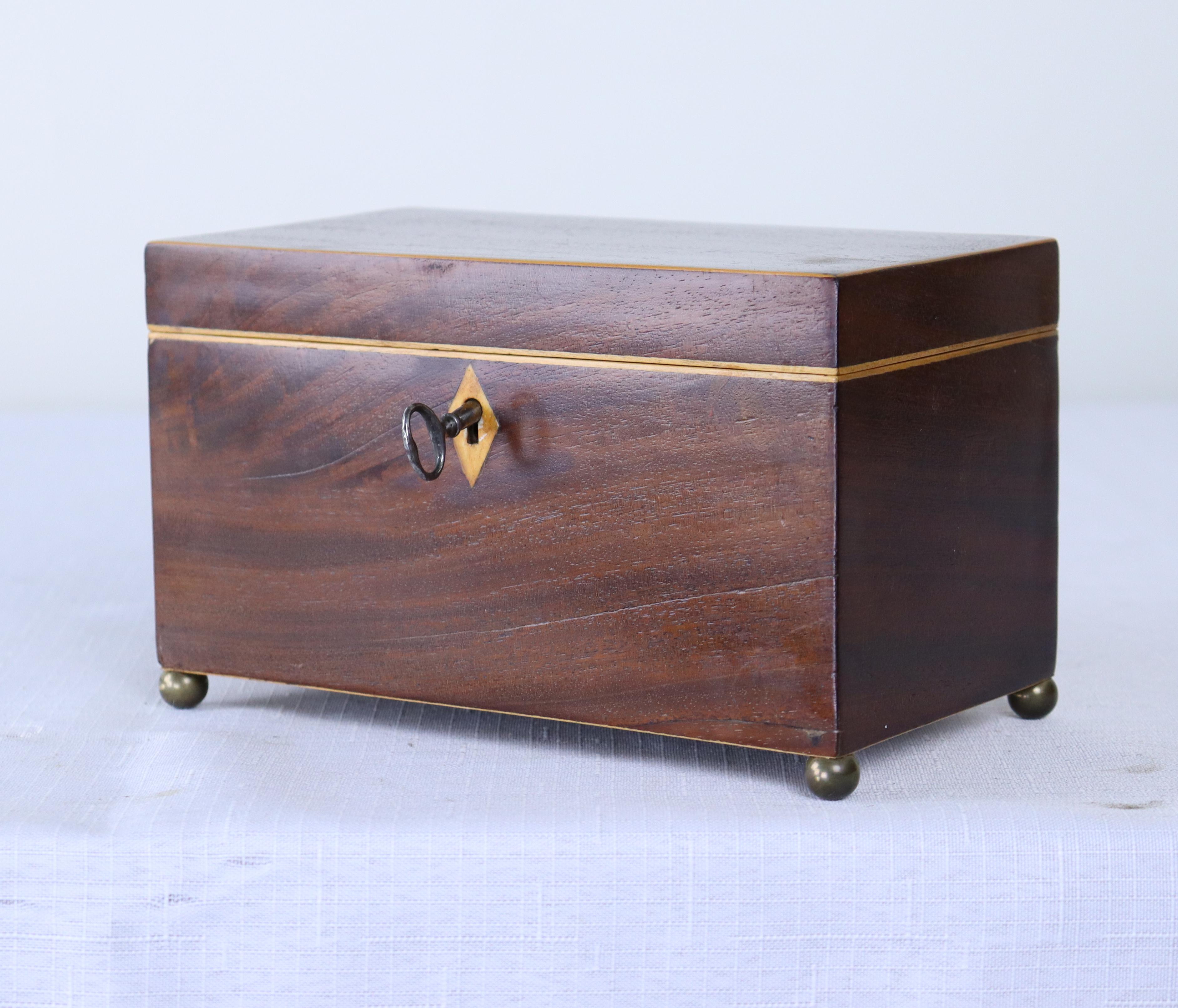 Georgian Satinwood Strung Tea Caddy In Good Condition In Port Chester, NY