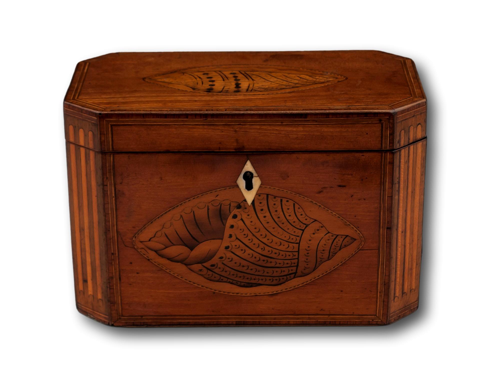 With Conch Shell Inlay

From our Tea Caddy Collection, we are pleased to offer this superb Georgian Satinwood Tea Caddy. The Tea Caddy of rectangular shape with canted corners having inlaid boxwood flutes. The lid and front panel feature Tulipwood