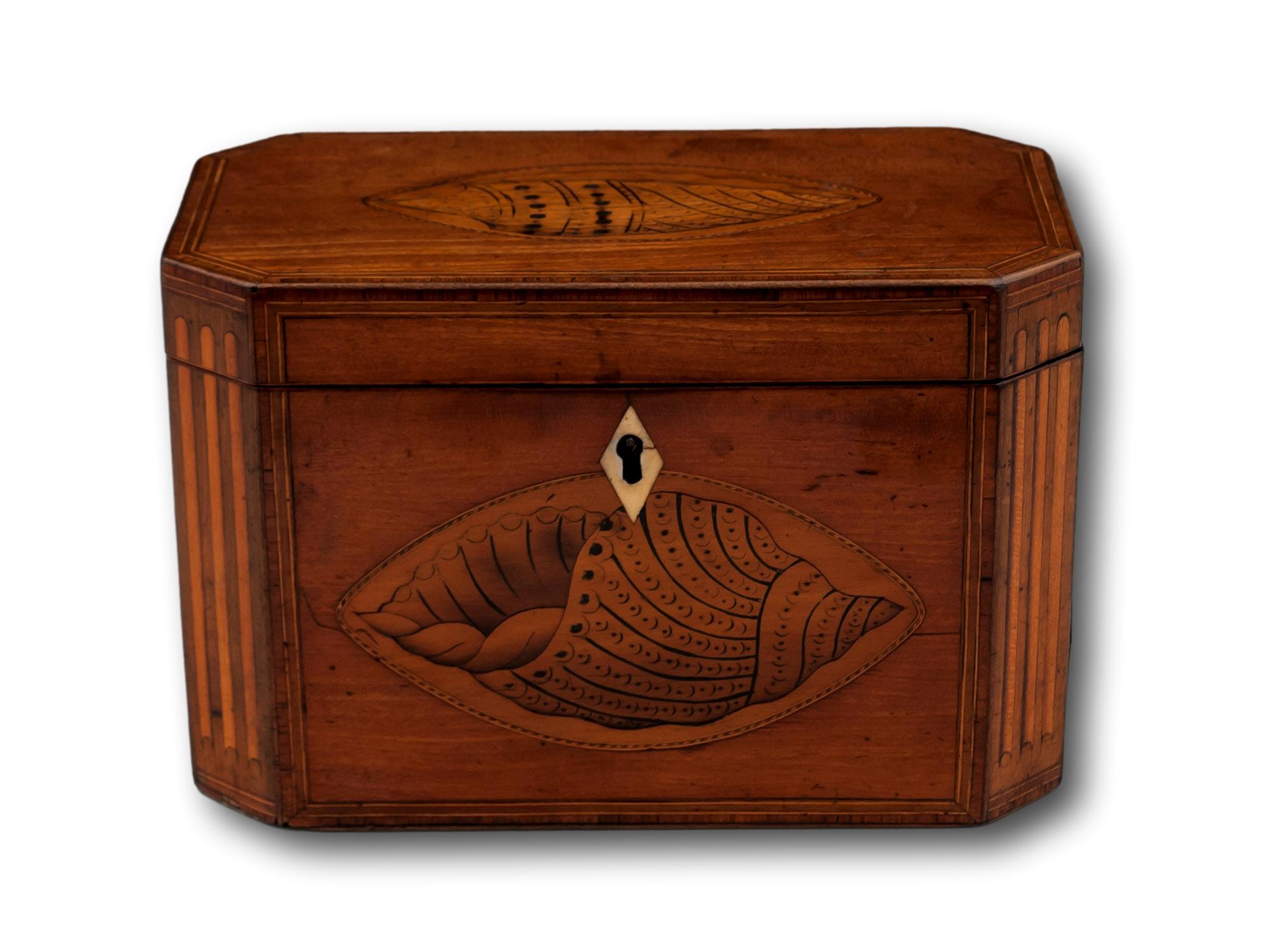 Con intarsio di conchiglia

Dalla nostra collezione di Tea Caddy, siamo lieti di offrire questo superbo Tea Caddy georgiano in legno di raso. Il Tea Caddy è di forma rettangolare con angoli inclinati e flauti in legno di bosso intarsiati. Il