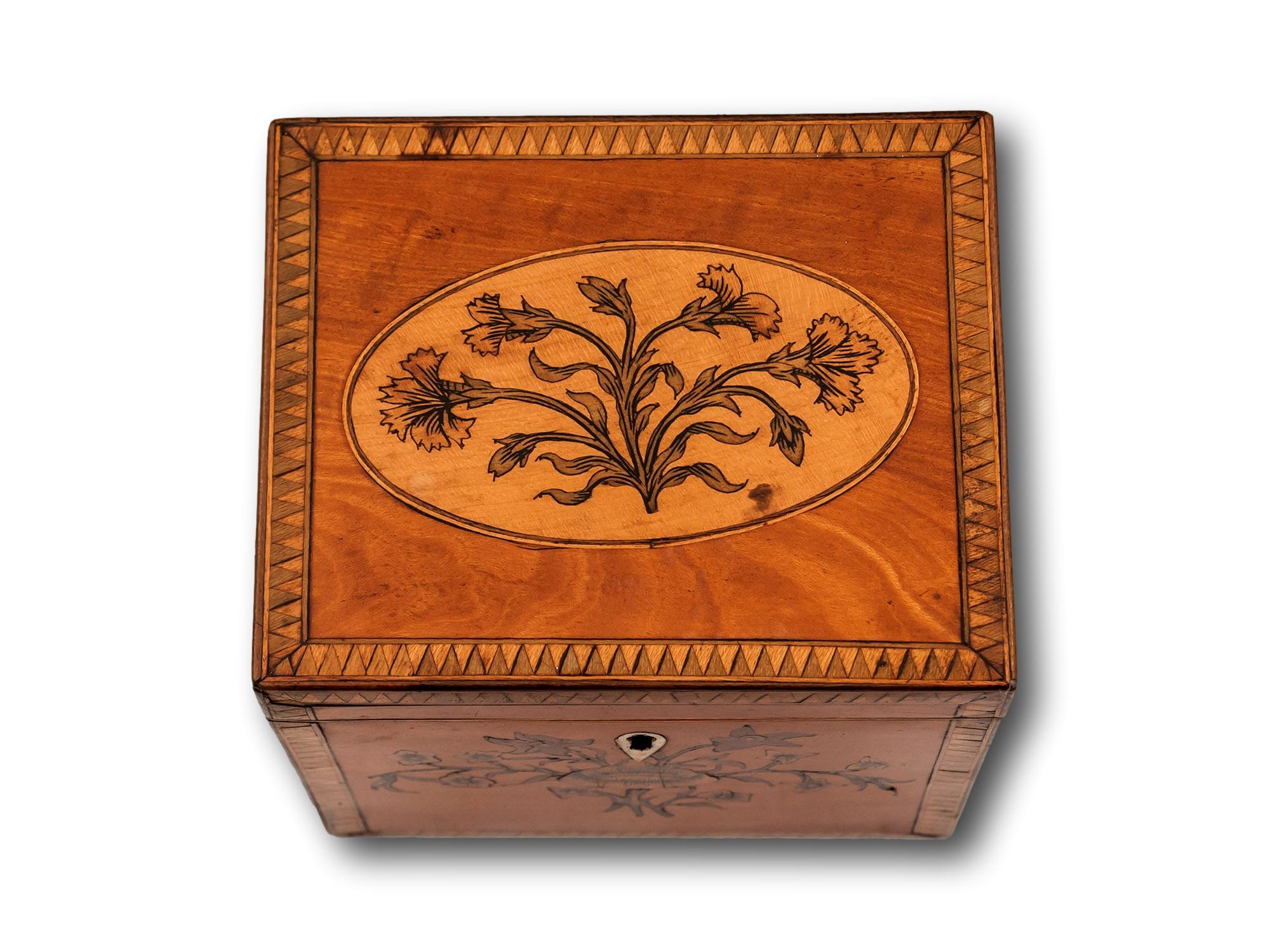 Hand-Crafted Georgian Satinwood Tea Caddy