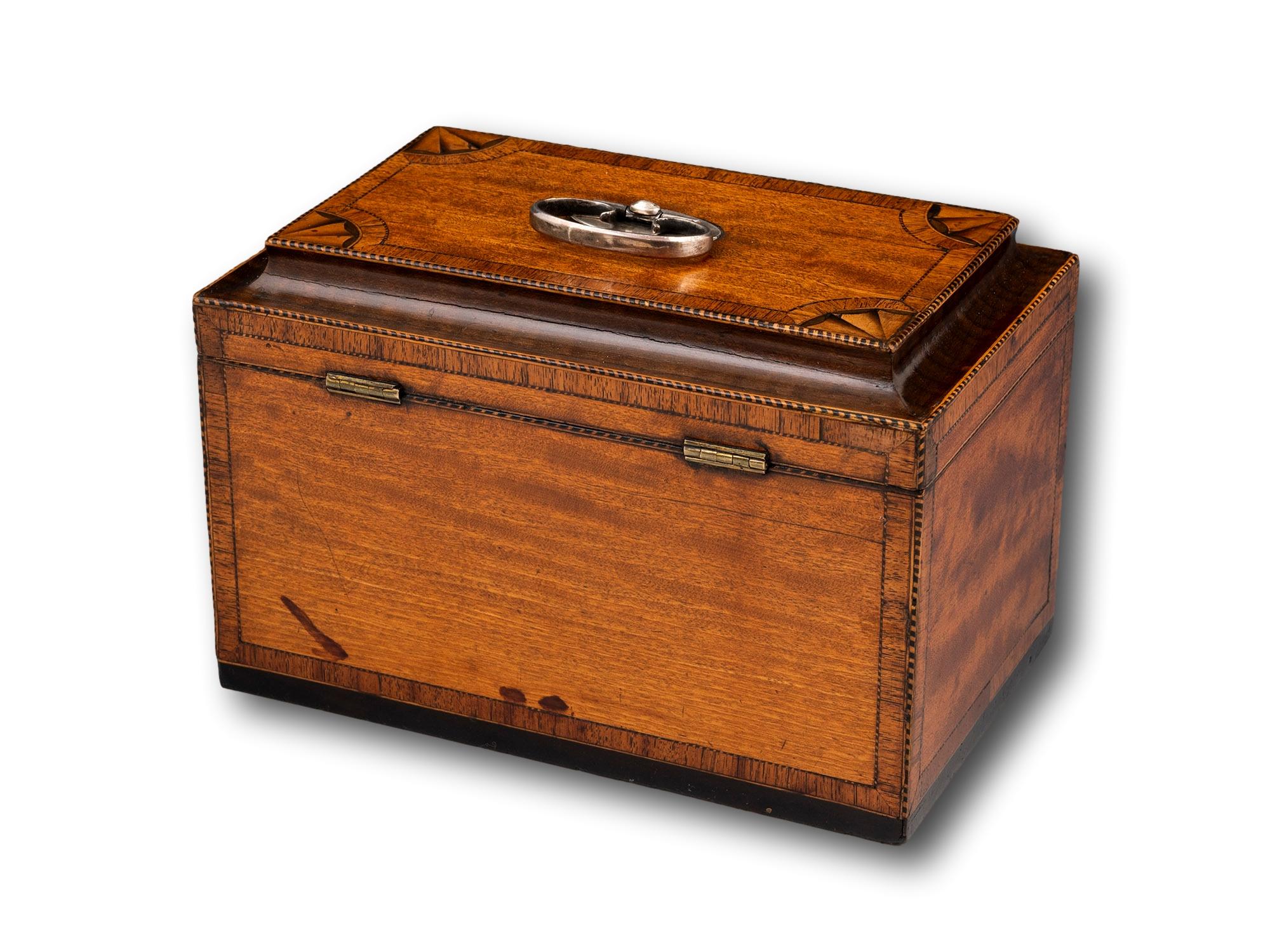 British Georgian Satinwood Tea Chest with Secret Compartments For Sale