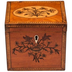 Georgian Single Satinwood Tea Caddy, 18th Century