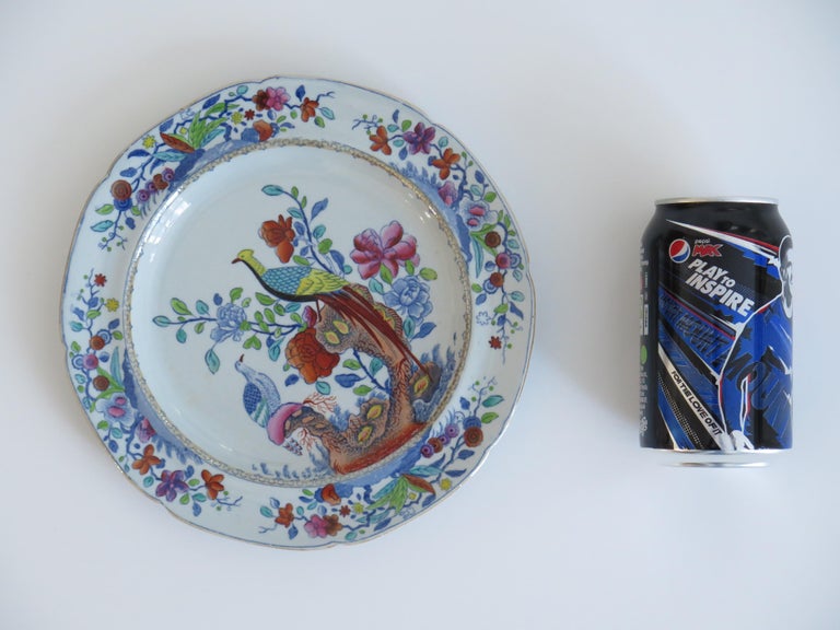 Georgian Spode Stone China Side Plate in Oriental Pheasant Pattern, Circa 1820 For Sale 2