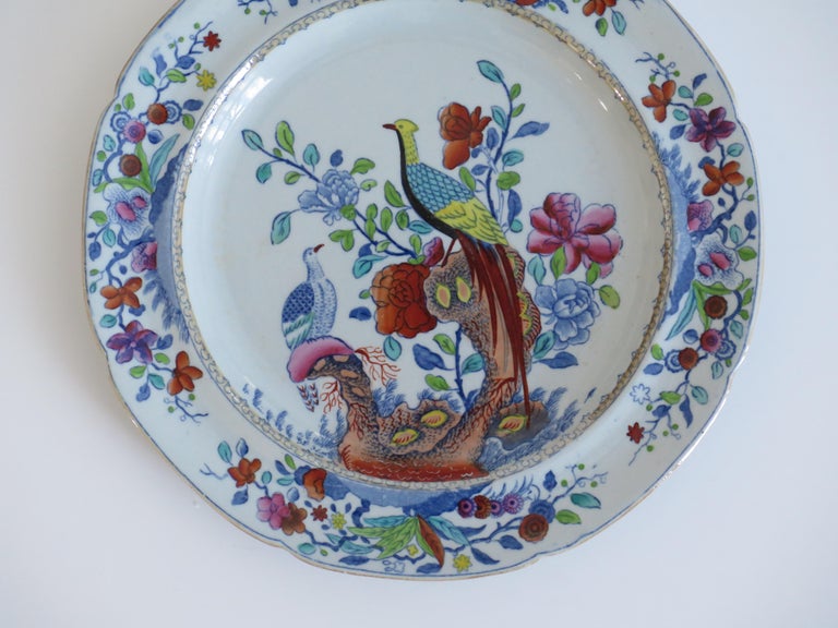 English Georgian Spode Stone China Side Plate in Oriental Pheasant Pattern, Circa 1820 For Sale