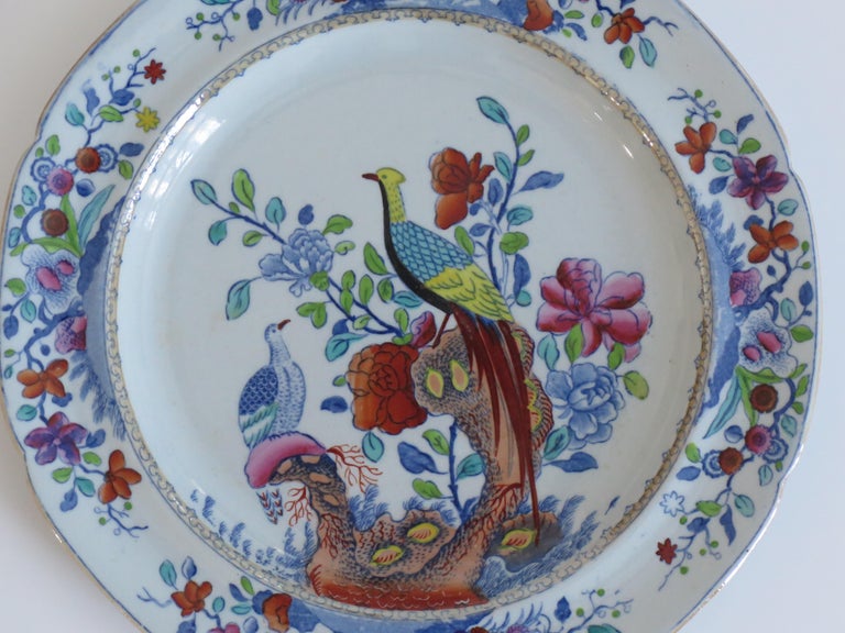 Hand-Painted Georgian Spode Stone China Side Plate in Oriental Pheasant Pattern, Circa 1820 For Sale
