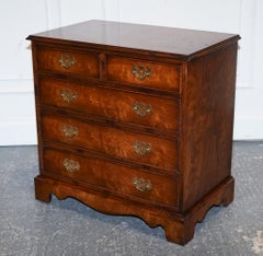 GEORGiAN STYLE BURL ELM BACHERLORS CHEST OF DRAWERS ON BRACKET FEET