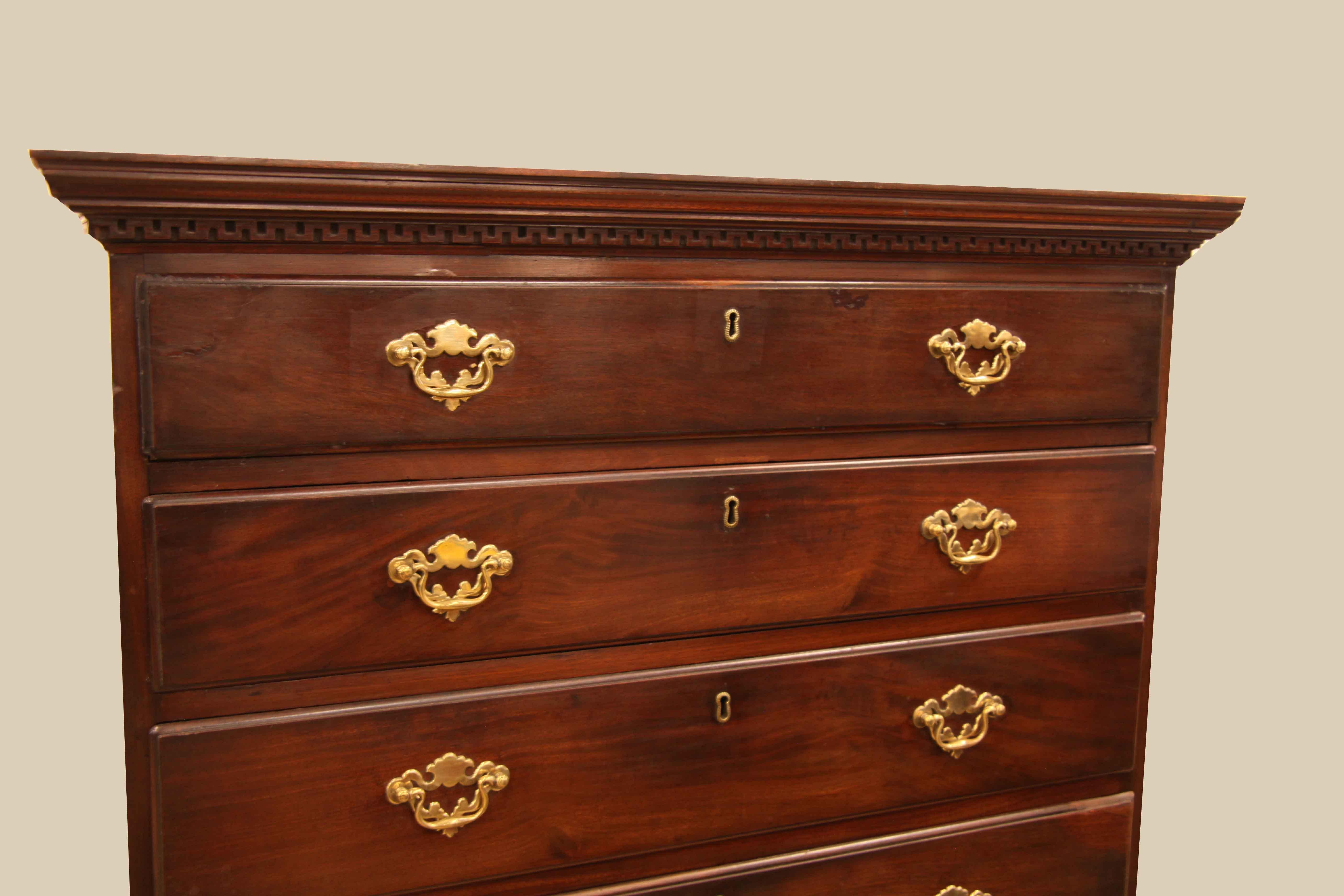 Mid-19th Century Georgian Tall Chest For Sale