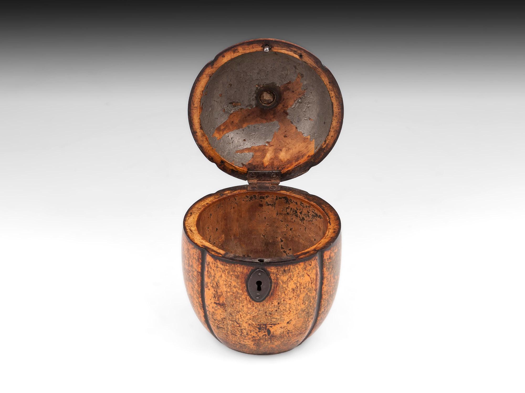 19th Century Georgian Tea Caddy Melon Fruitwood Treen