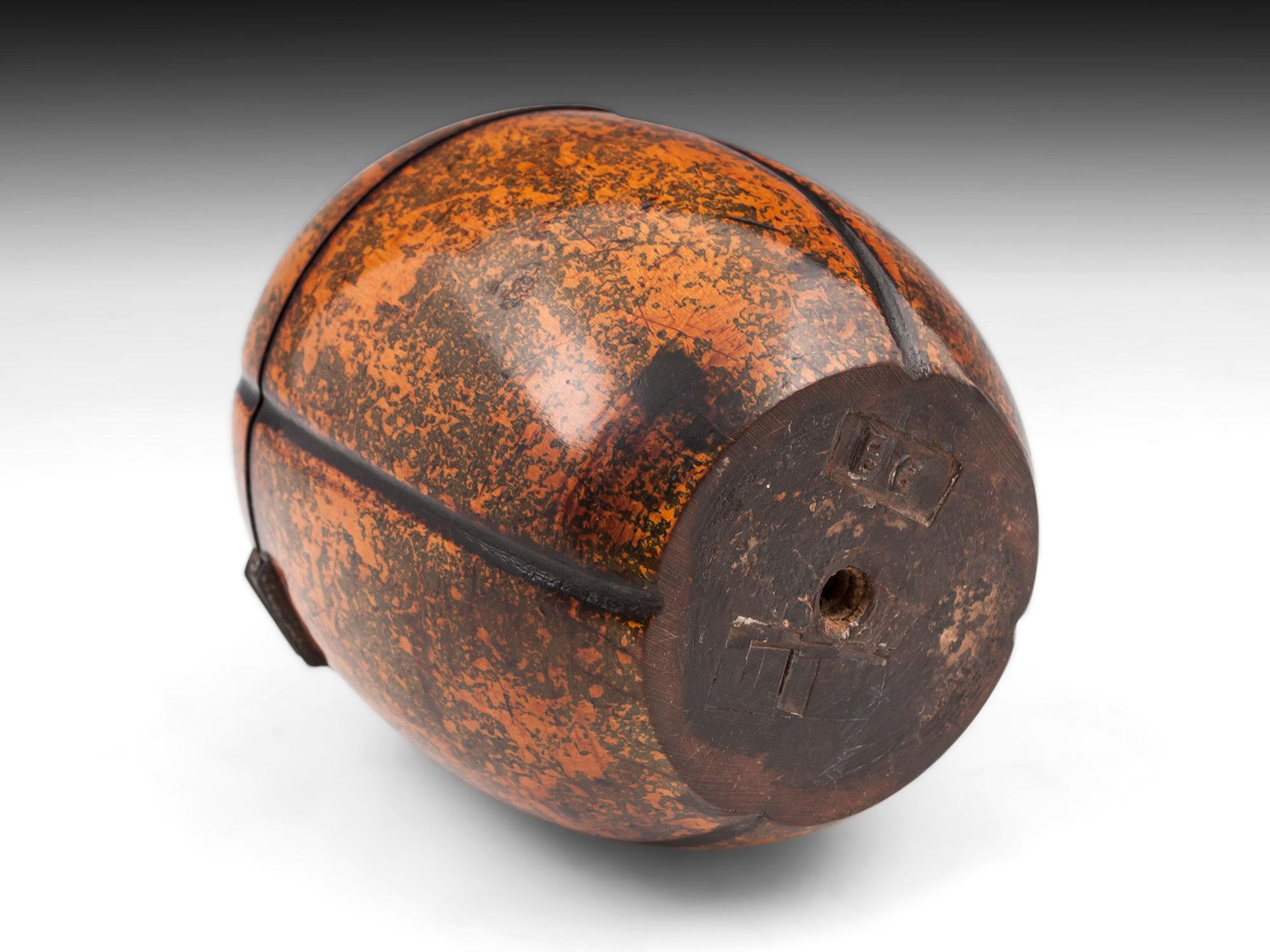 Georgian Tea Caddy Melon Fruitwood Treen 2