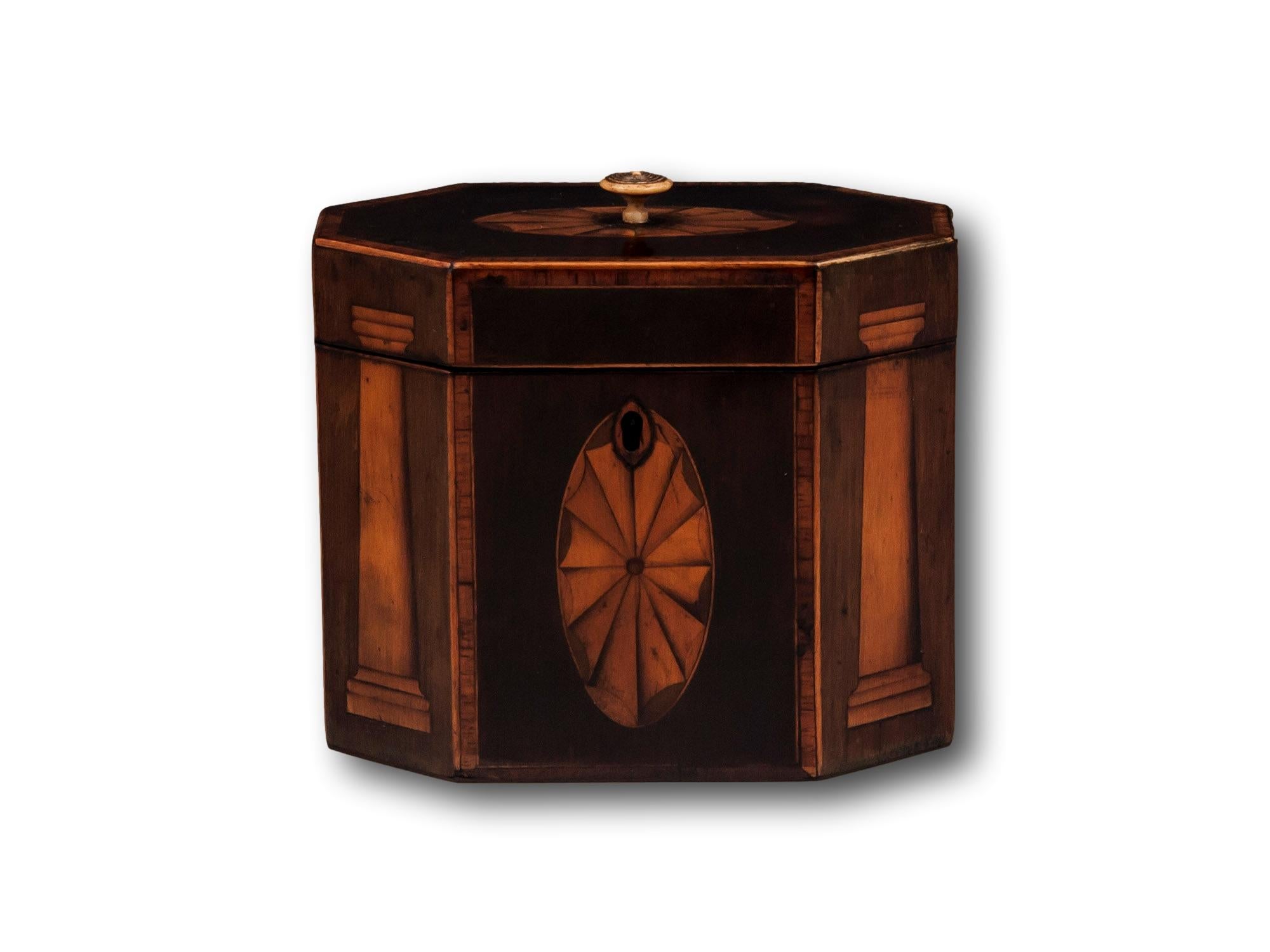 With Tuscan Columns & Fan Inlay.

From our Tea Caddy collection, we are pleased to offer this Georgian Harewood Tea Caddy. The Tea Caddy of octagonal shape with a Harewood veneer exterior and crossbanded Tulipwood with Boxwood edging. The front