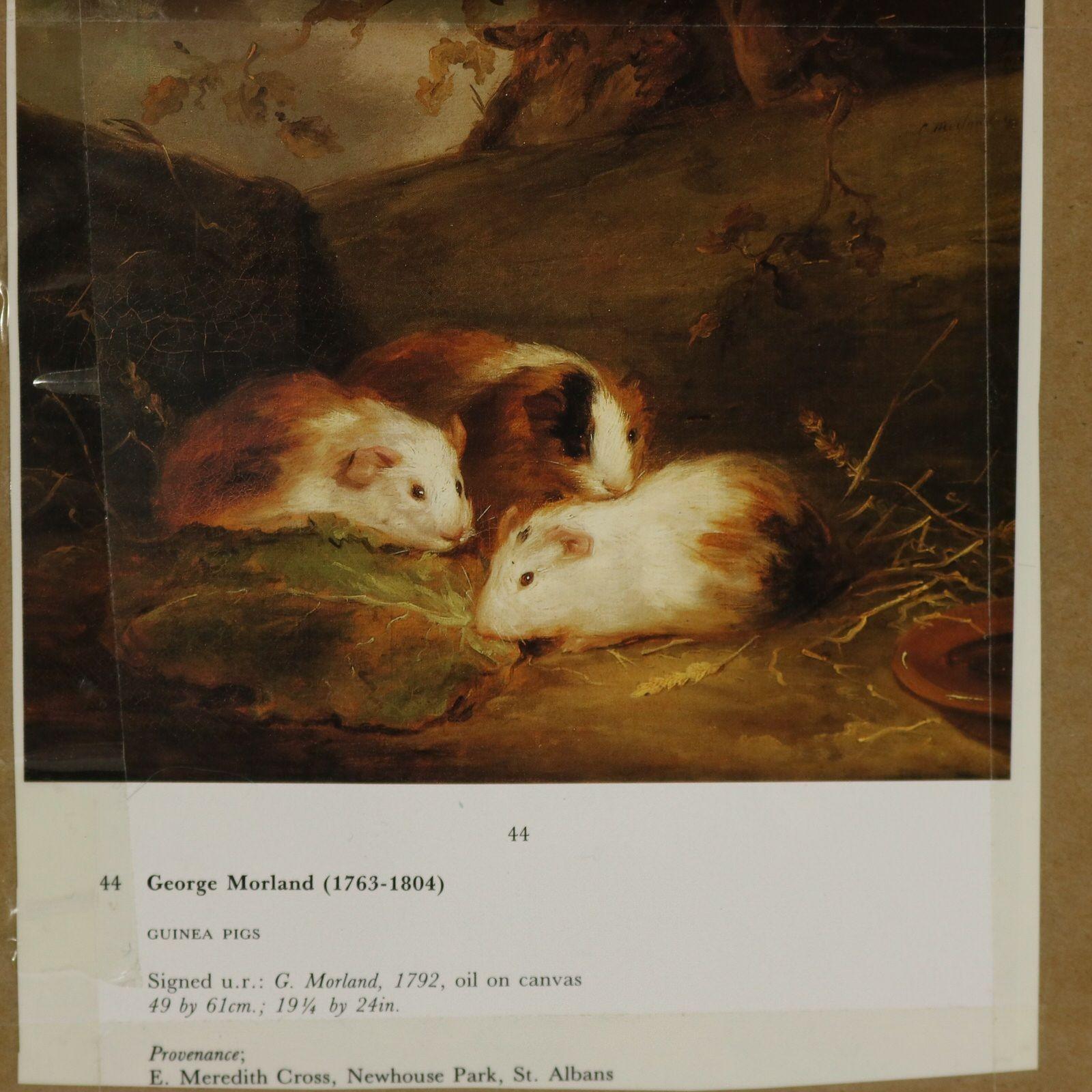 Georgian Woolwork Embroidered Picture of Guinea Pigs For Sale 5