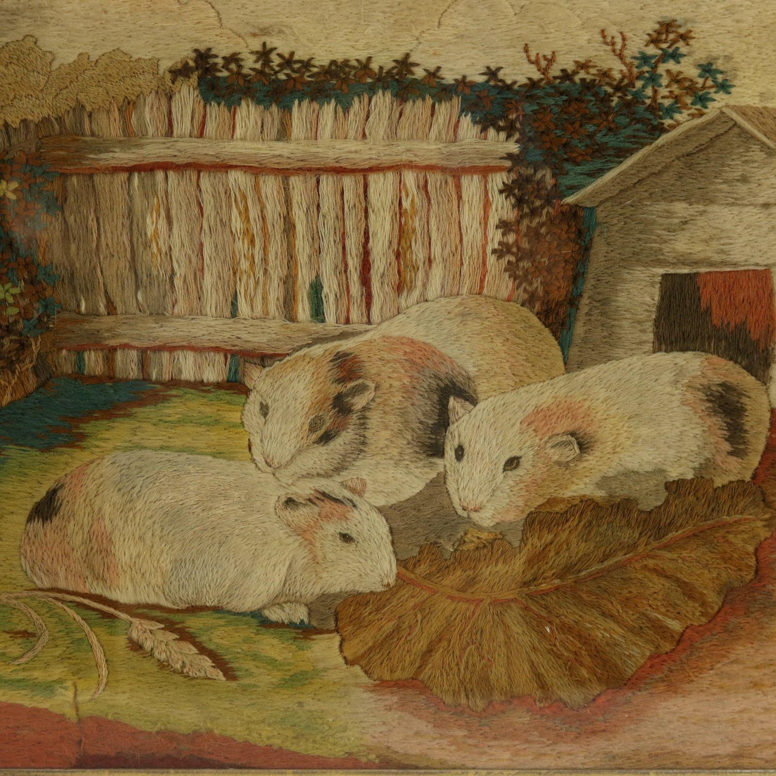 Georgian Woolwork Embroidered Picture of Guinea Pigs In Good Condition For Sale In Chelmsford, Essex