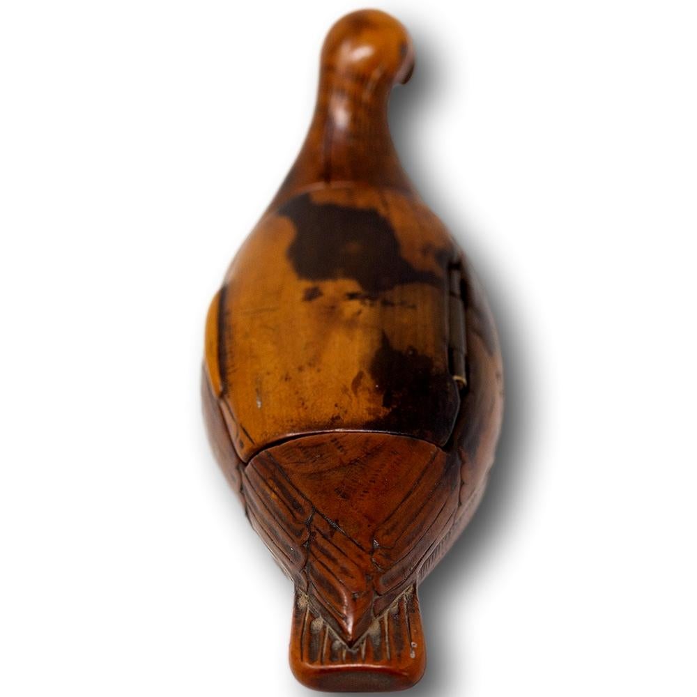Georgian Yew Wood Parrot Snuff Box For Sale 1