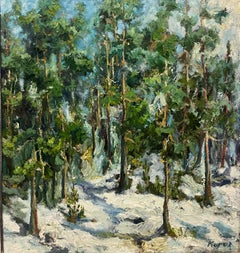 "Pini nella neve " Olio cm. 60 x 64 Olio