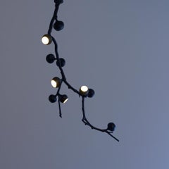 Georgina Black Cascade by 7Gods Studio