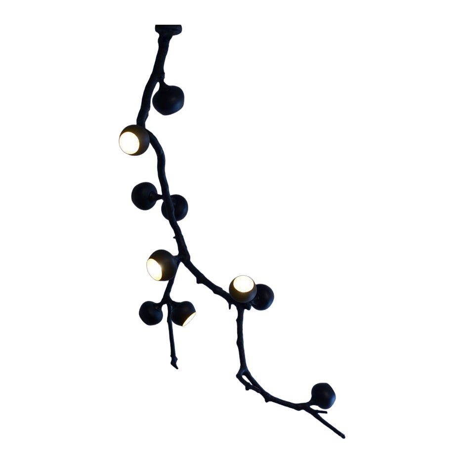 Georgina Black Cascade di 7Gods Studio A