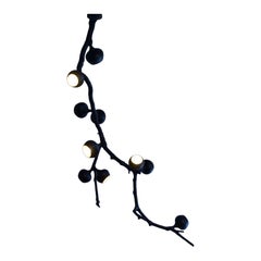 Georgina Black Cascade by 7Gods Studio