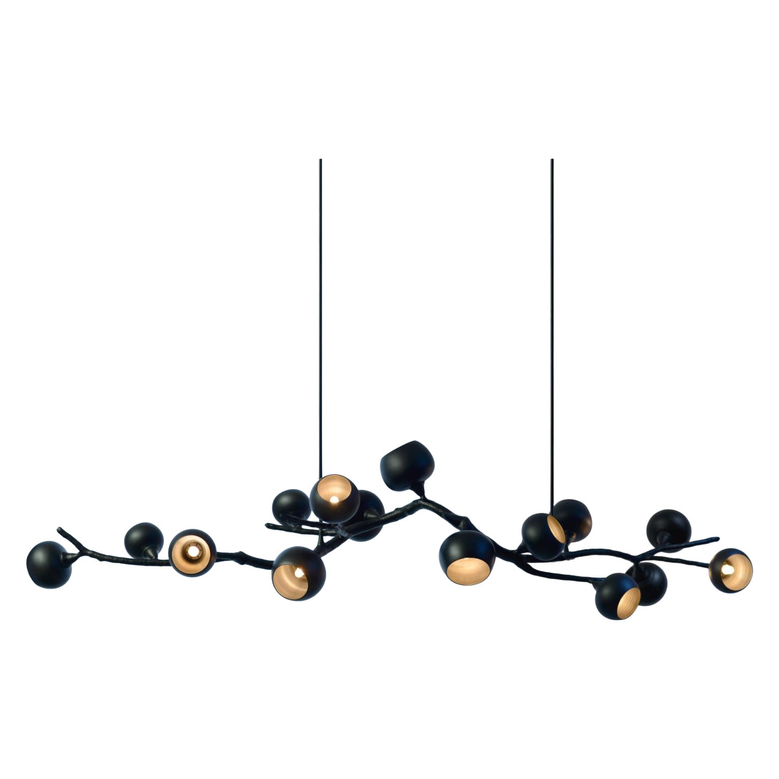 Georgina Black Jabuticaba di 7Gods Studio