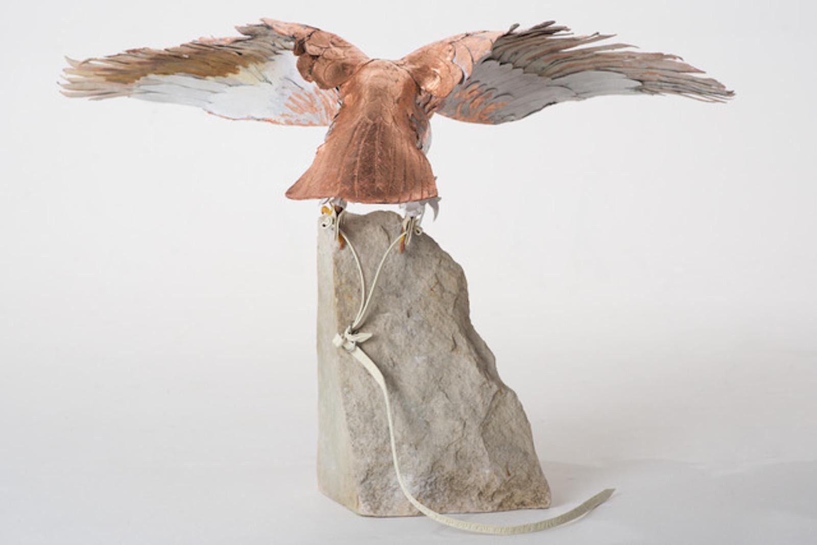 ‘Hawkules’ is the first piece in a new series entitled 'Lo Senti' (in progress) by award winning leather artist Georgina Brett Chinnery.

‘Lo Senti’ runs along the theme of freedom and restriction. ‘Hawkules’ depicts a lifesize hawk as a captured