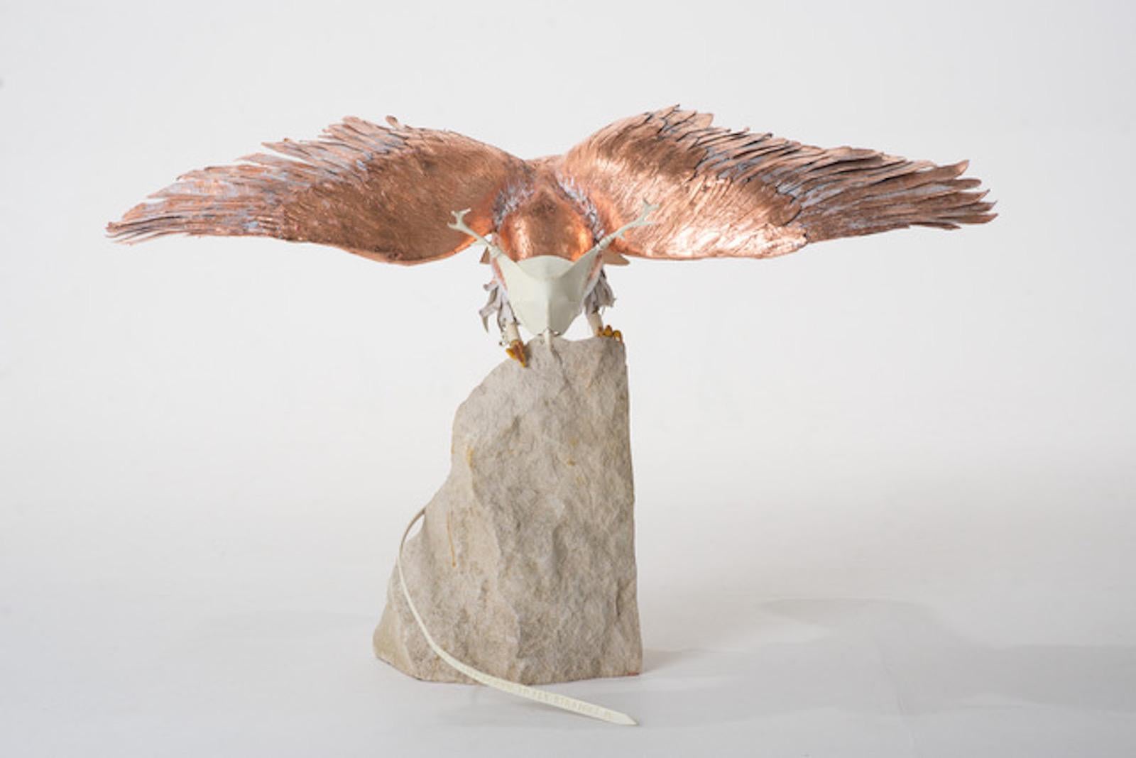 Georgina Brett-Chinnery Still-Life Sculpture - Hawkules [exploring freedom and restriction] by leather artist Brett Chinnery 