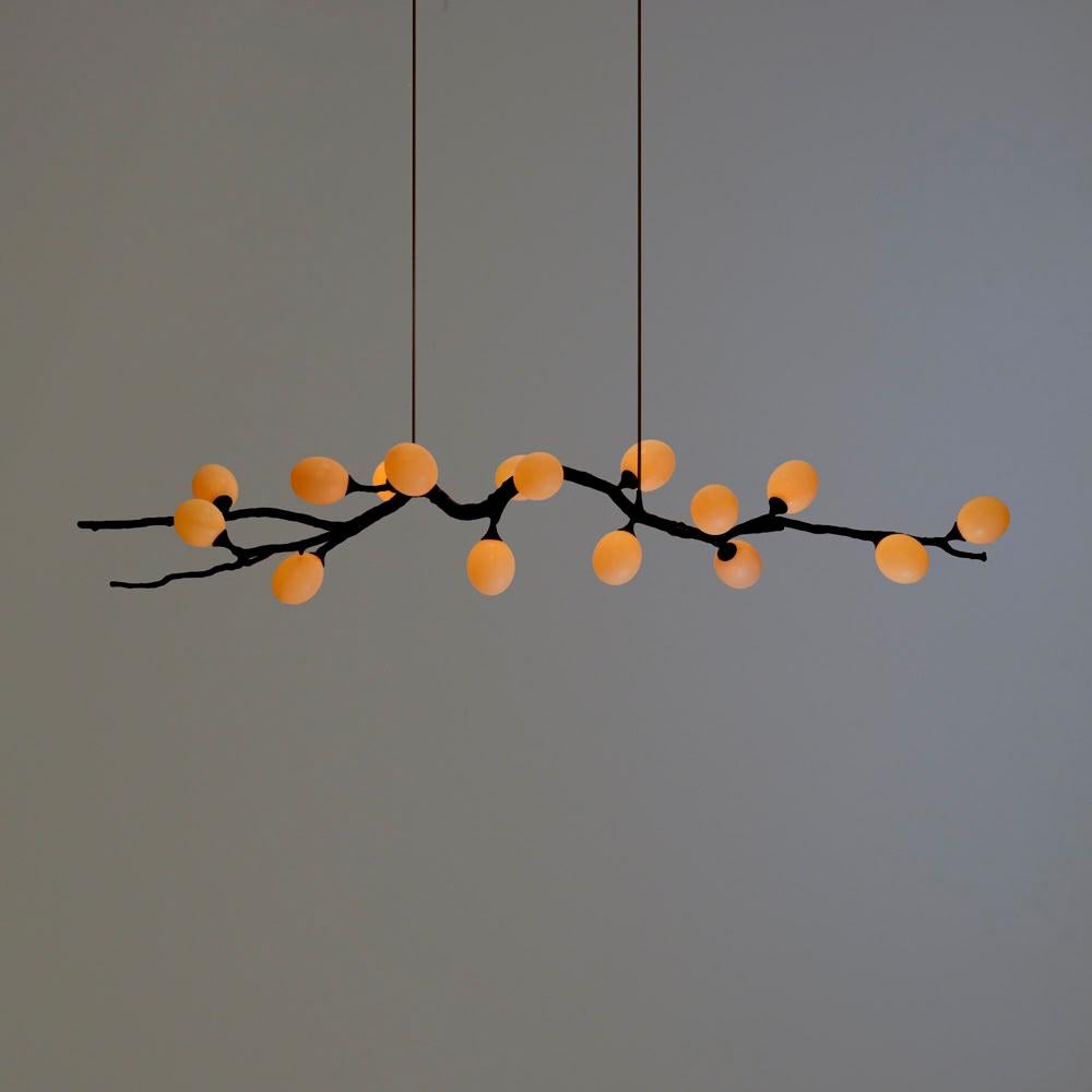 Lampada a sospensione Georgina Egg Jabuticaba di 7Gods Studio
Dimensioni: D 40 x L 200 x H 40 cm
Materiali:  Branch: Fibra di carbonio, Bacca: Uovo di struzzo
Peso: da 5 a 15 kg

Informazioni: Prendendo le forme durature della natura come modello
