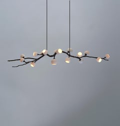 Georgina Whiting Jabuticaba by 7Gods Studio