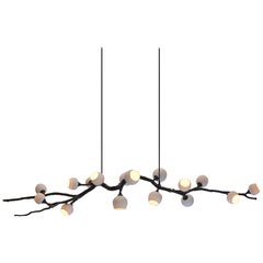 Georgina White Jabuticaba by 7Gods Studio