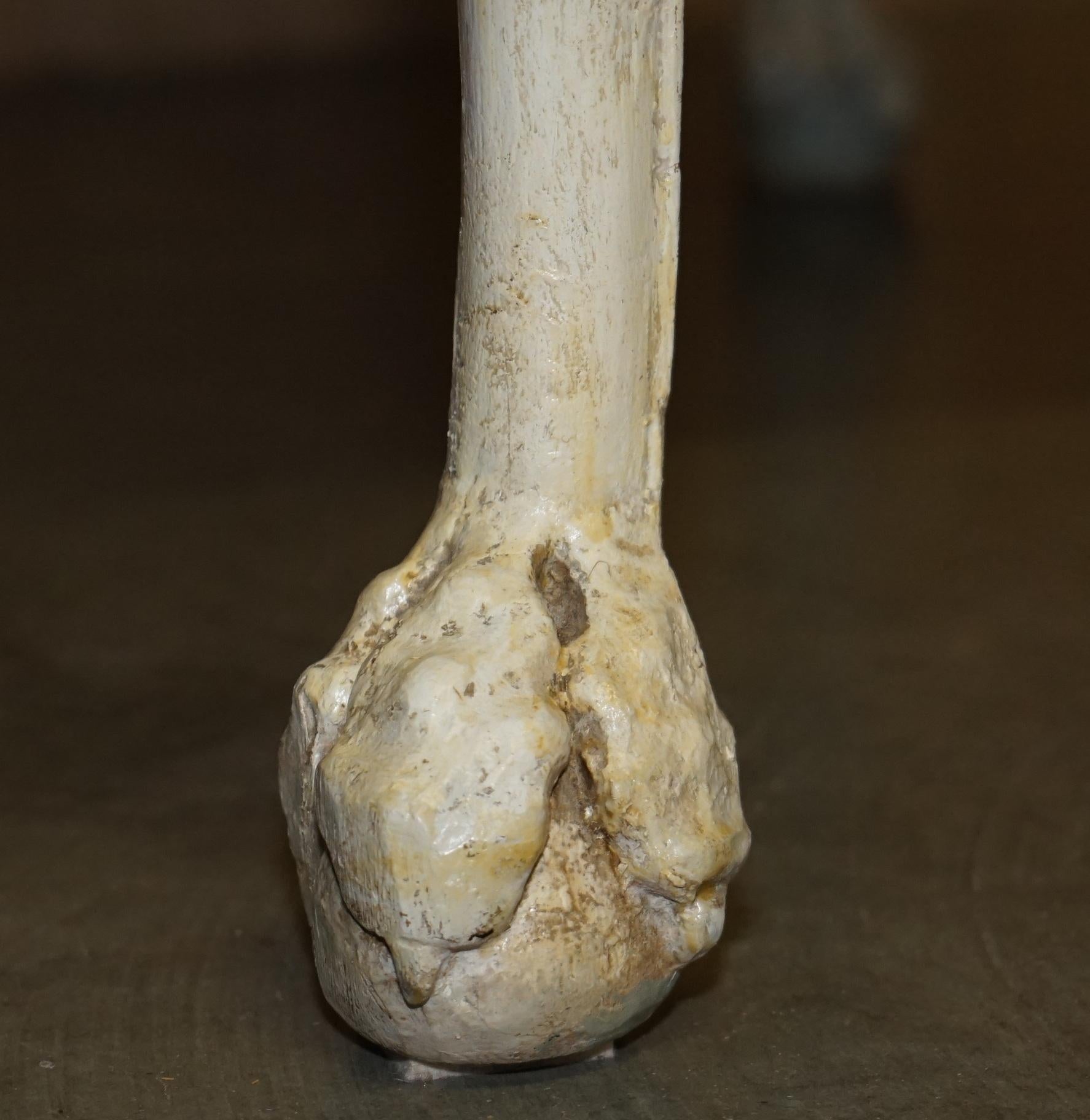 ESTILO GEORGINIANO ANTiQUE CIRCA 1860 VICTORIANO MESA DE ESCRITORIO OCASIONAL PINTADA A MANO en venta 7