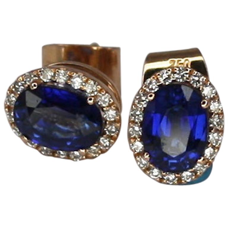 Georgios Collections 18 Karat Rose Gold Sapphire and Diamond Oval Stud Earrings