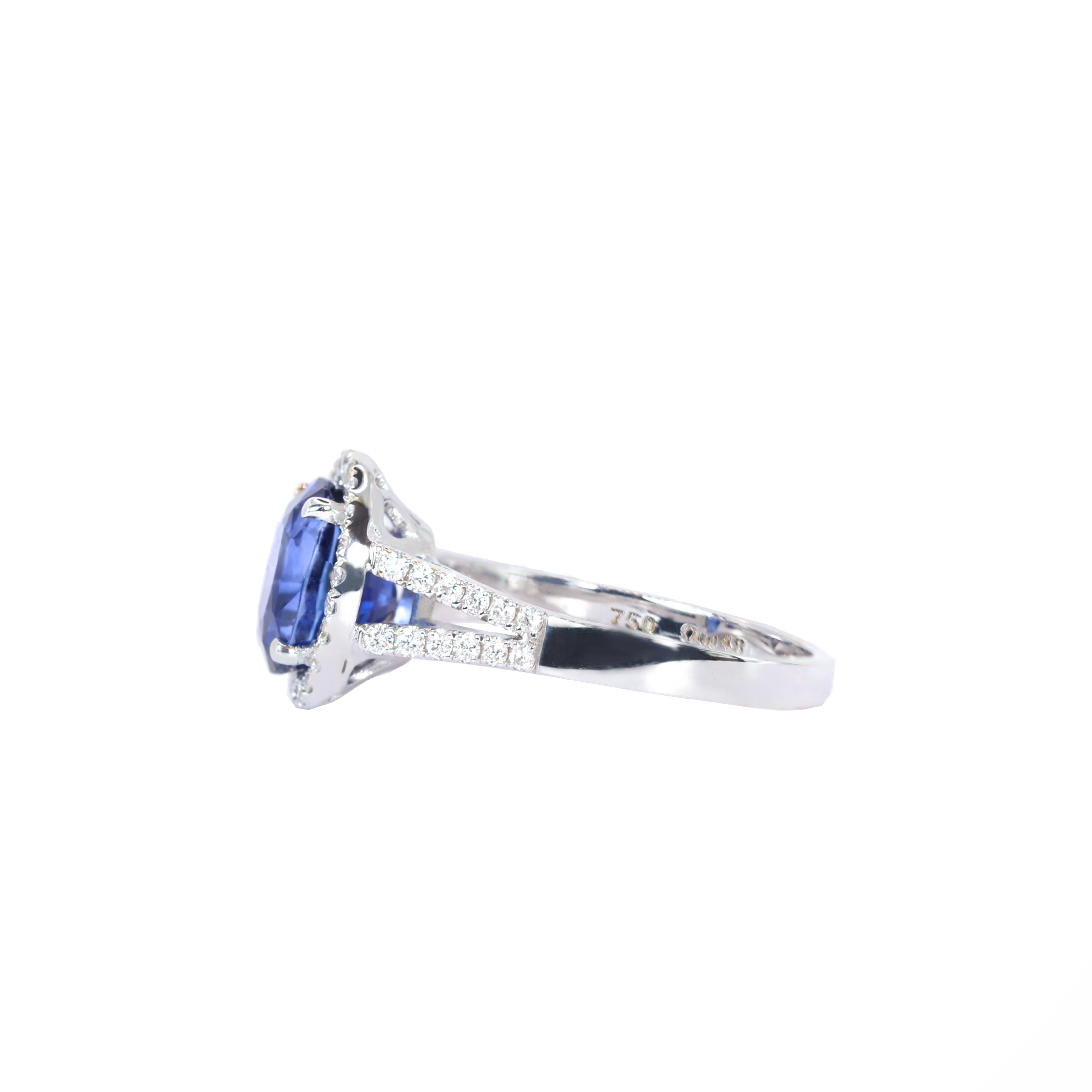 Georgios Collections 18 Karat White Gold Oval Sapphire Ring with Diamonds (Zeitgenössisch) im Angebot