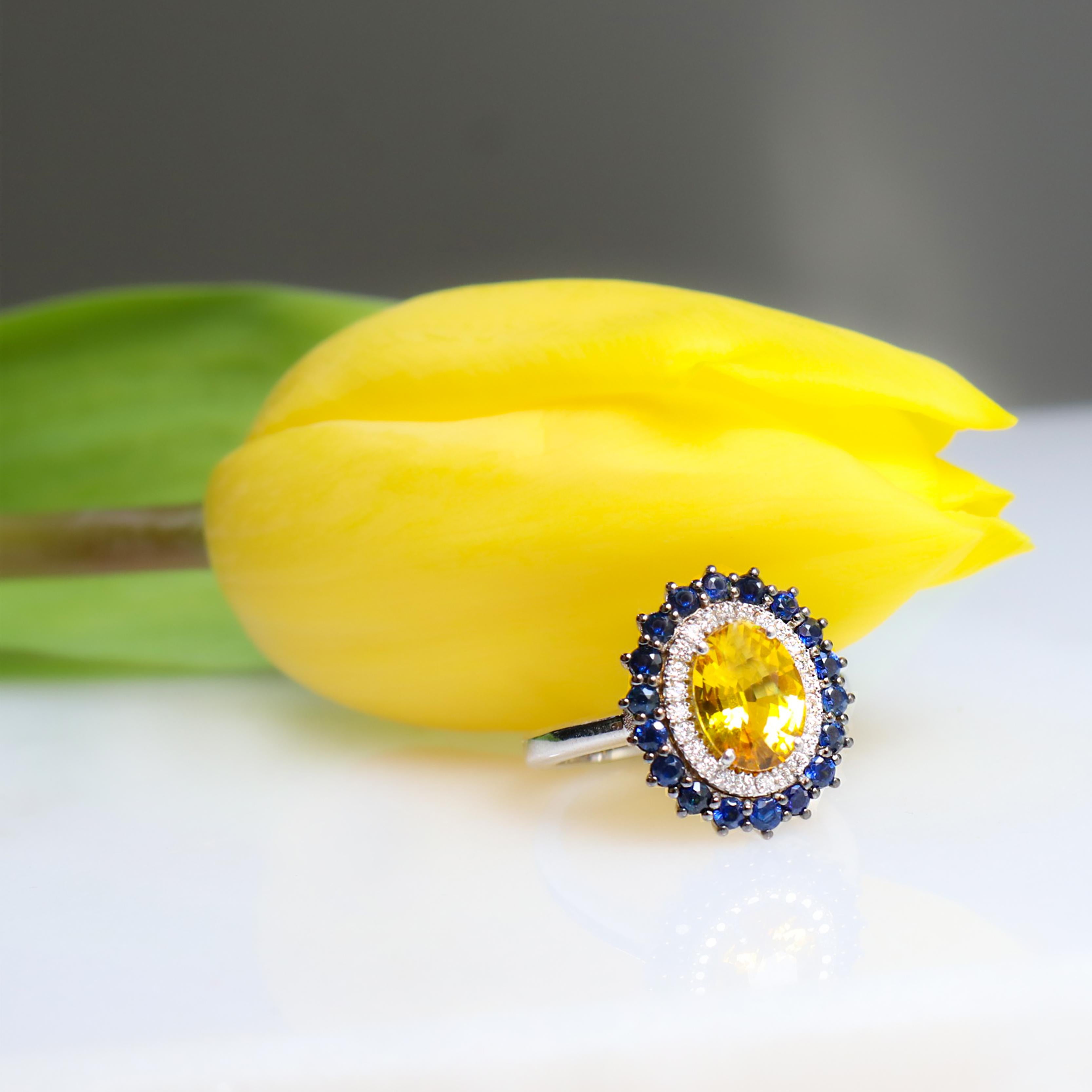 Georgios Collections 18 Karat White Gold Oval Yellow Sapphire Ring with Diamonds Damen im Angebot