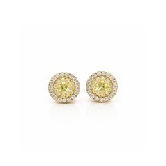 Georgios Collections 18 Karat Yellow Gold Fancy Yellow Diamond Stud Earrings