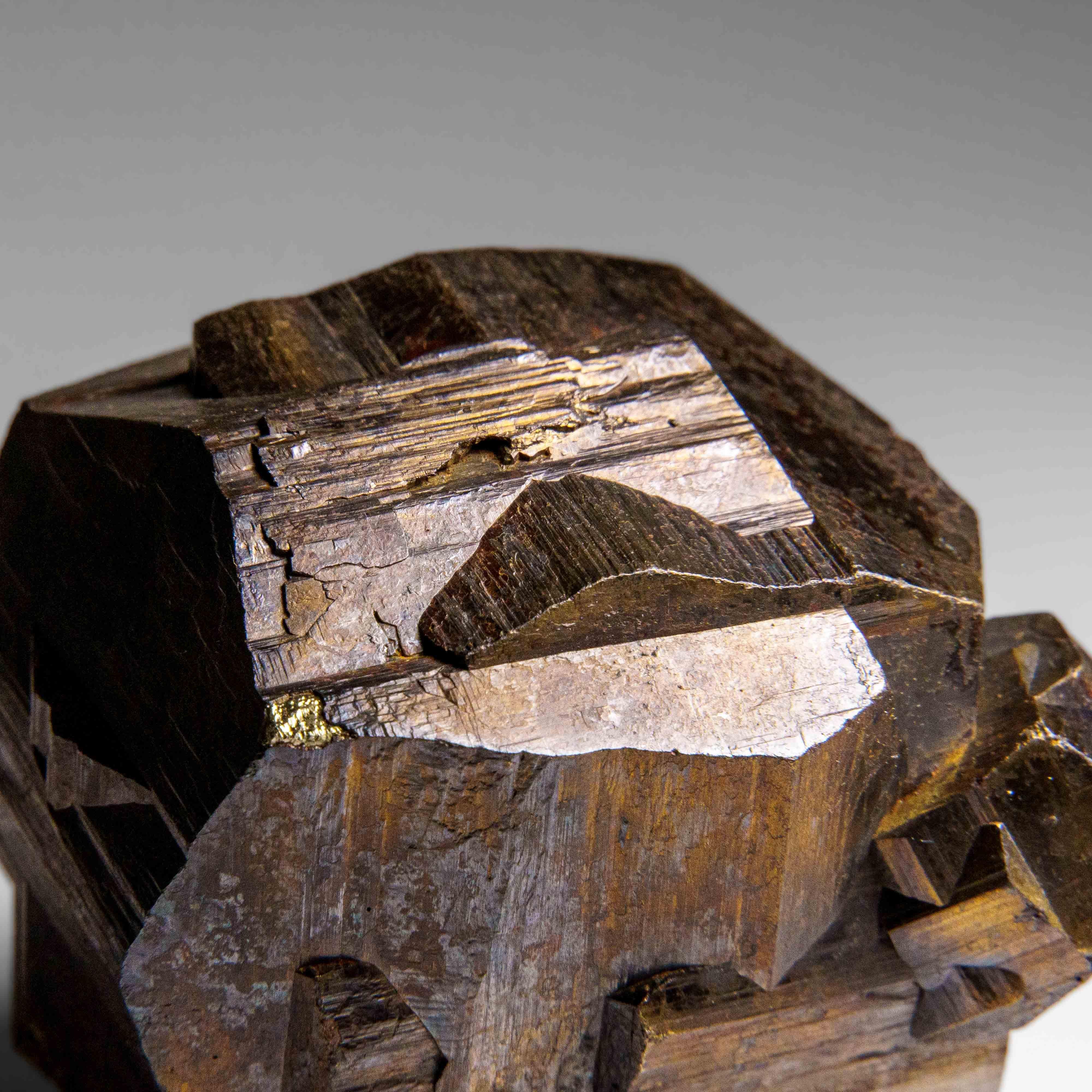 Ce spécimen important provenant de Gachala, Cundinamarca, Colombie, présente une croix de fer jumelle en pseudomorphe de goethite après pyrite. La pyrite est entièrement dissimulée sous une fine couche de goethite, ce qui donne à la surface un