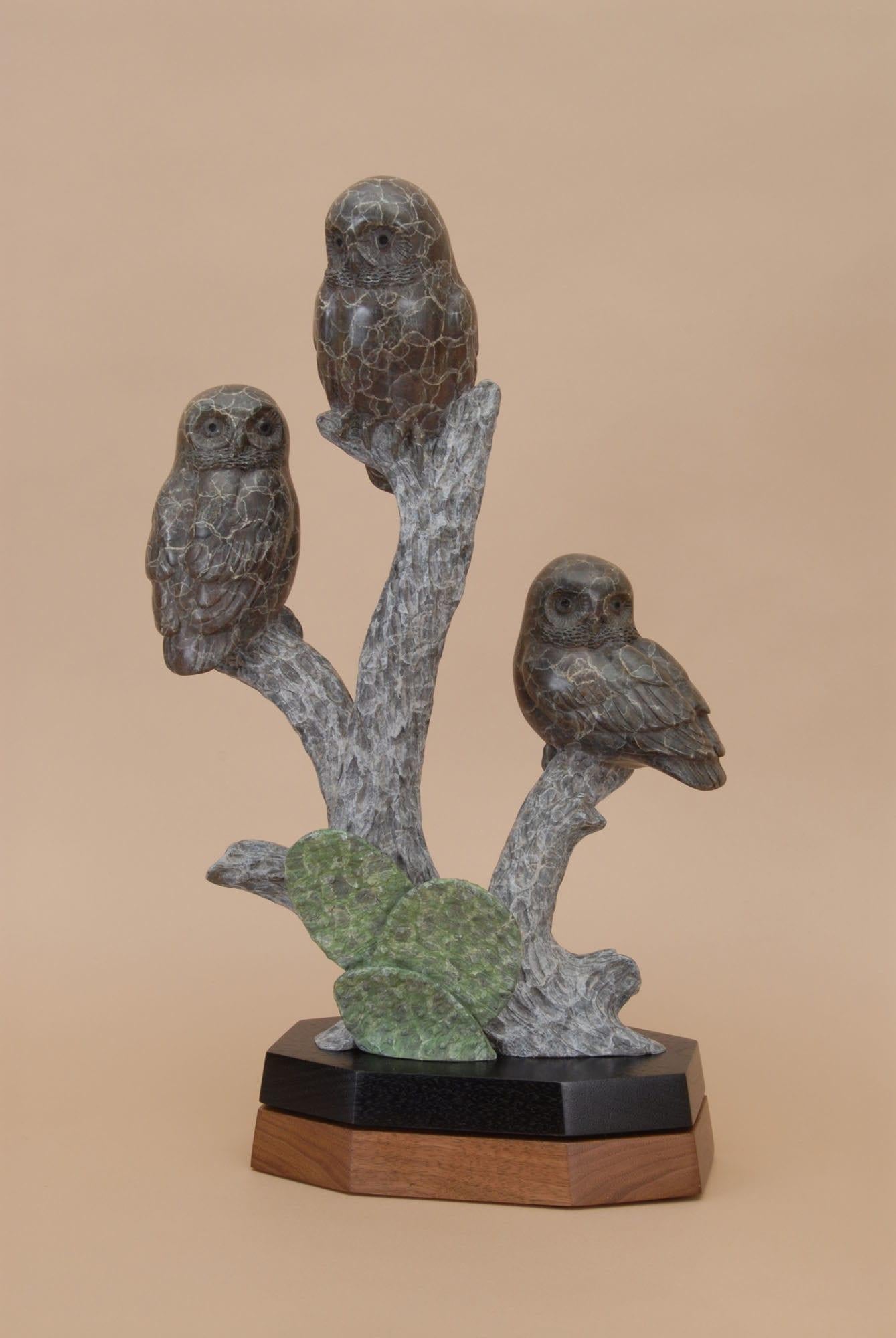 In cima alla Cholla - Sculpture di Gerald Balciar