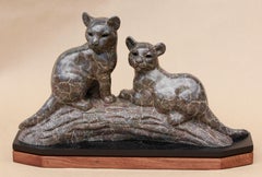 Cuccioli di puma - Adira e Sipka