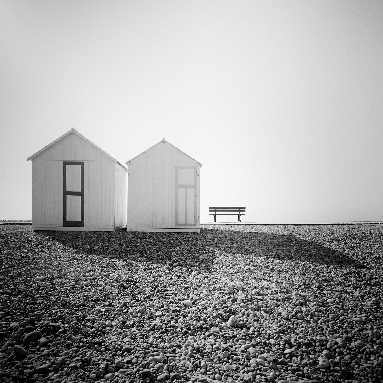 Gerald Berghammer, Ina Forstinger Pigeon and the Eiffel Tower, Paris