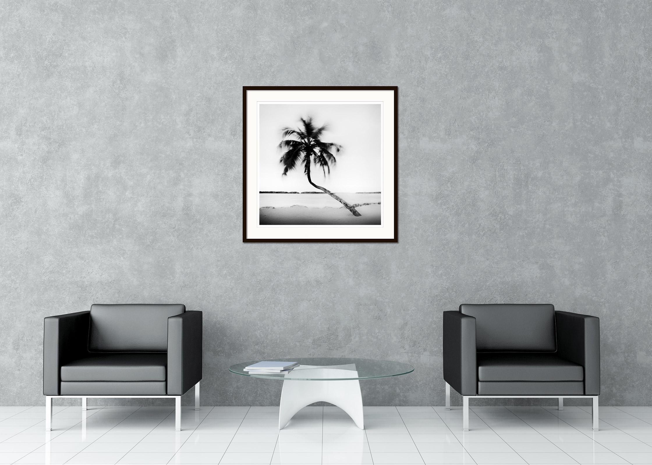 Bent Palm, Beach, Florida, USA, Schwarz-Weiß-Fotografie, Landschaft im Angebot 1