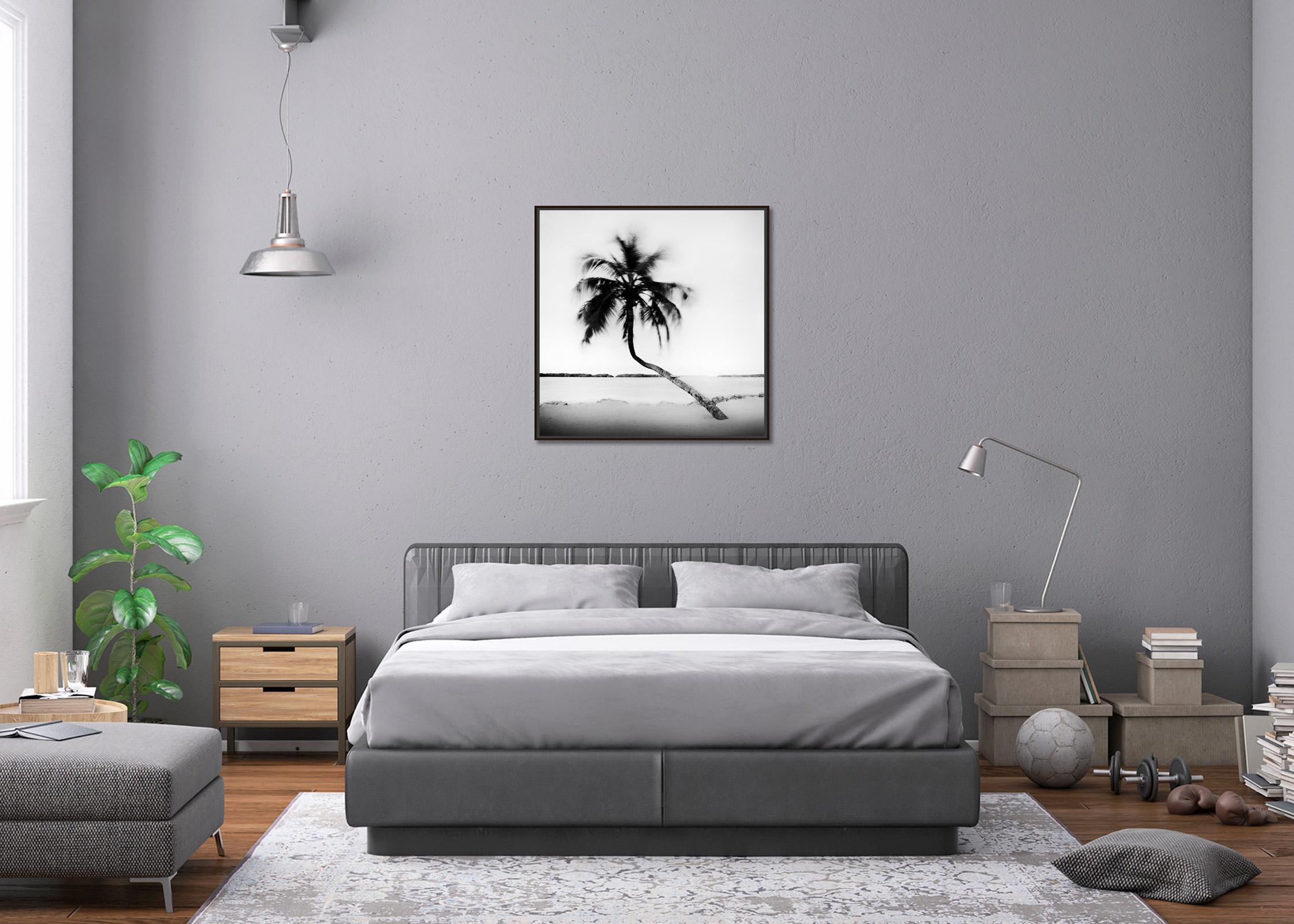 Bent Palm, Beach, Florida, USA, Schwarz-Weiß-Fotografie, Landschaft im Angebot 1